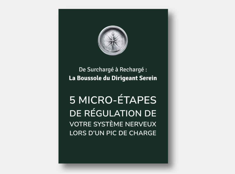 Le Playbook du Facilitateur Créatif Le Playbook du Facilitateur Créatif